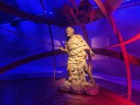 Jungfraujoch - Erlebnis-Tour (Discovery Tour)