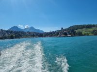Schifffahrt auf dem Thunersee - Spiez