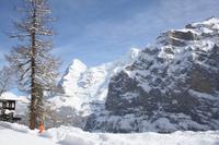 im Hintergrund der Eiger