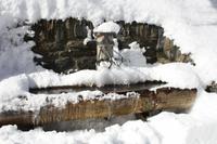 alter Brunnen in Mürren