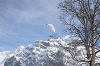 Winterlandschaft aus der Luft erleben