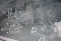 Eisskulpturen