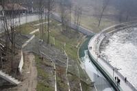 Bärengehege an der Aare