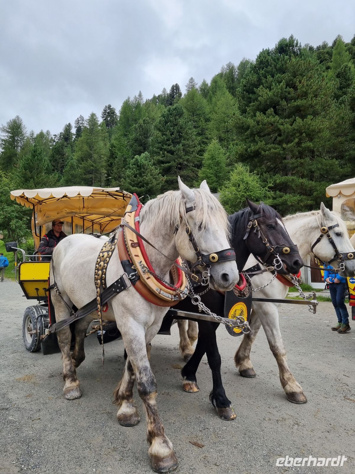 Fahrt mit dem Pferde-Omnibus ins Val Roseg