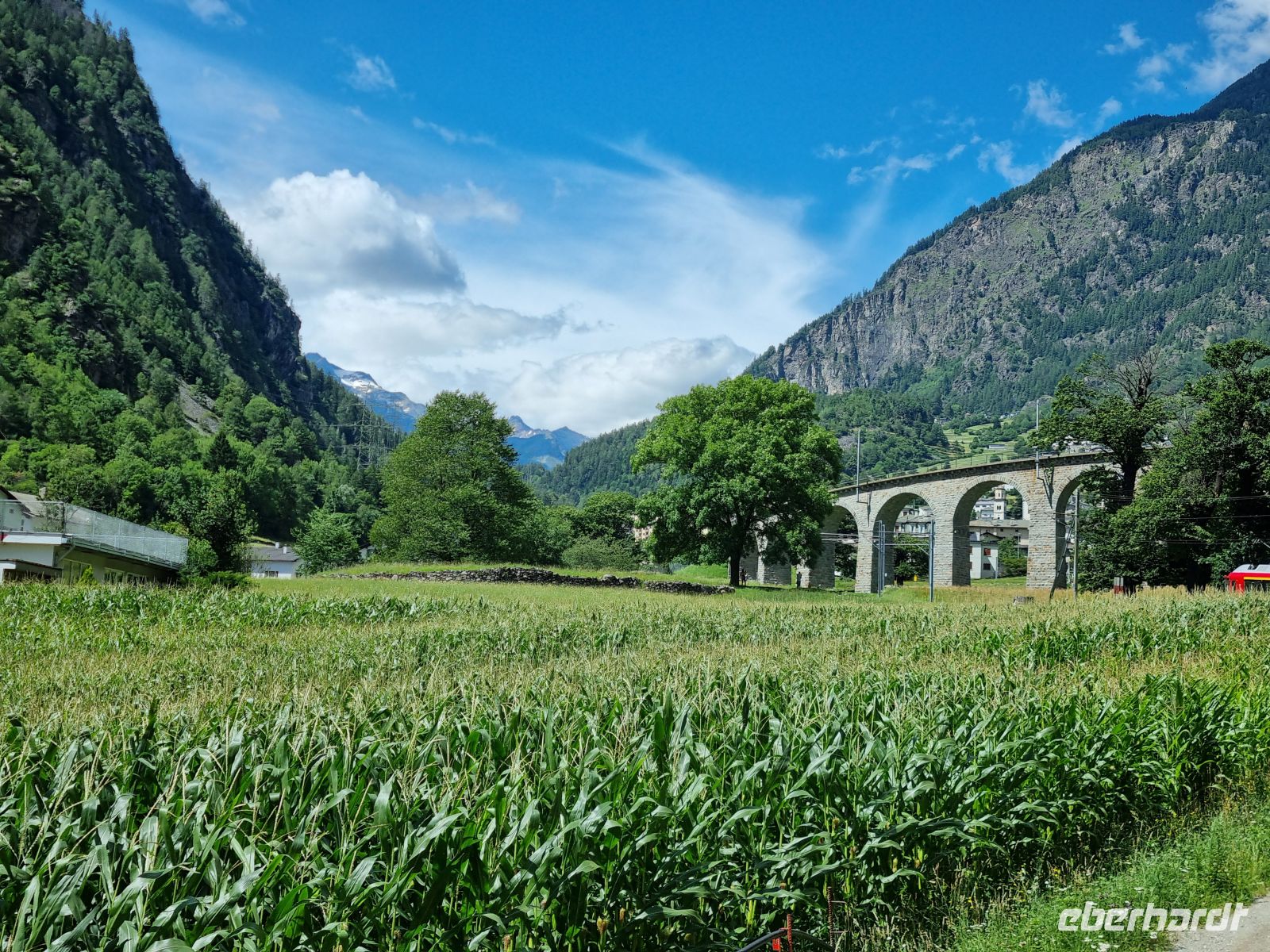 Fahrt mit dem Bernina-Express (Kreisviadukt von Brusio)