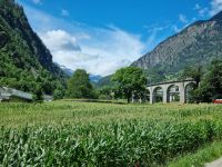 Fahrt mit dem Bernina-Express (Kreisviadukt von Brusio)