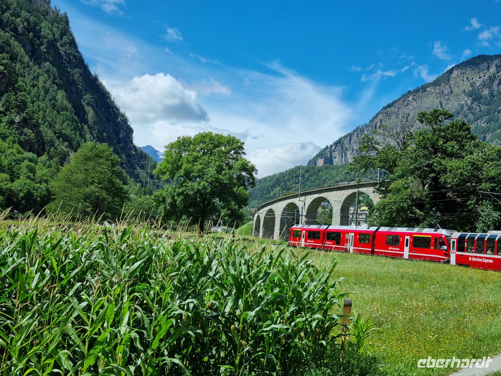 Fahrt mit dem Bernina-Express (Kreisviadukt von Brusio)