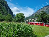 Fahrt mit dem Bernina-Express (Kreisviadukt von Brusio)