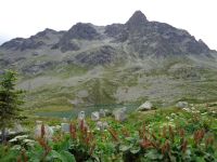 Julierpass (2.284 m.ü.M), Silvaplana, Schweiz