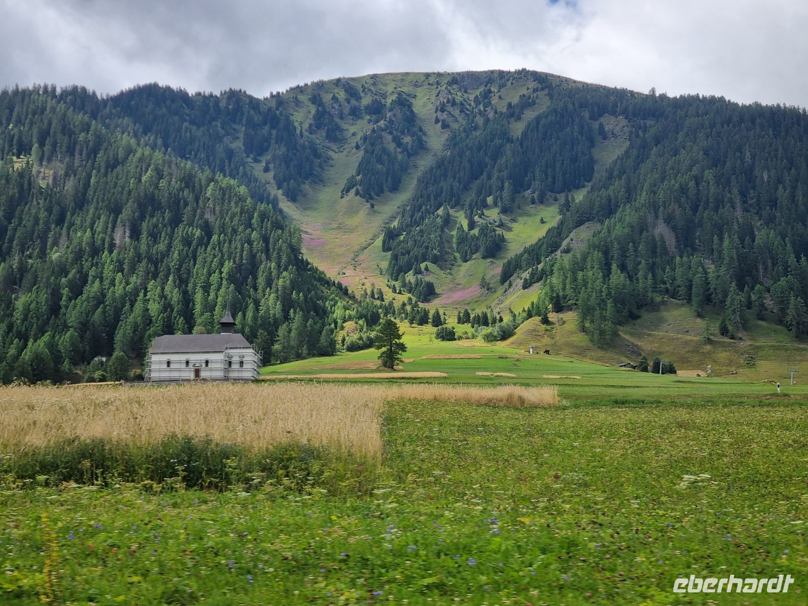 Fahrt mit dem Glacier-Express (Goms)