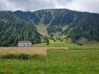 Fahrt mit dem Glacier-Express (Goms)