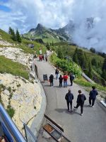 Blick zum Alpengarten