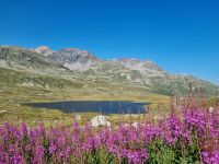 Bernina-Pass (Lej Nair = Schwarzer See)