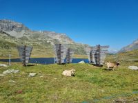 Bernina-Pass (Lej Nair = Schwarzer See)