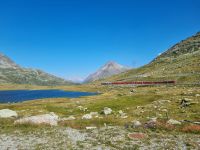 Bernina-Pass (Lago Bianco = Weißer See)