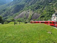 Fahrt mit dem Bernina-Express (Kreisviadukt von Brusio)
