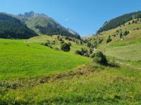 Fahrt mit dem Glacier-Express (auf dem Weg von Disentis zum Oberalppass...)