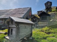 Grimselpass (Murmeltierpark)
