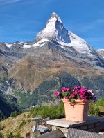 241 Zermatt - Ausflug auf Sunnegga und Blauherd am Rothorn - Matterhorn