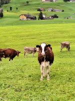 379 Heimreise von der Schwägalp - Fahrt durch das Appenzellerland