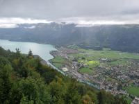 Harder Kulm (Blick zum Brienzersee)
