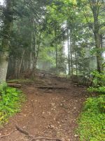 Harder Kulm (Rundweg)