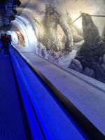 auf dem Jungfraujoch... (Discovery Tour)