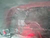 auf dem Jungfraujoch... (Eispalast)