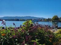 Zürichsee (Blick zum Uetliberg)