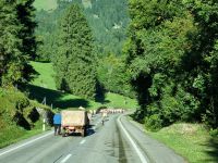 Almabtrieb im Appenzeller Land (Urnäsch)