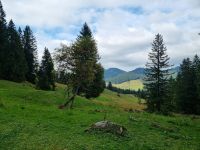 Wanderung auf der Schwägalp...