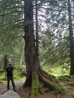 Wanderung auf der Schwägalp...