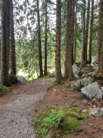 Wanderung auf der Schwägalp...