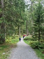 Wanderung auf der Schwägalp...