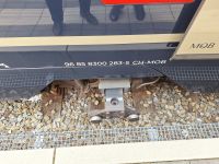 die Bahn angehoben und die Spur geändert