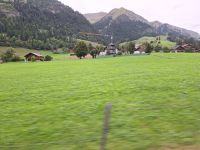 Überall saftiges Grün