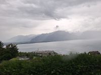 Blick zum Genfer See im Nebel