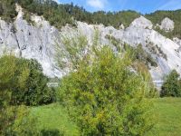 Beginn der Rheinschlucht