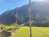 Der ewige Fahnenschwenker