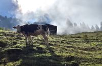 Fahrt mit der Brienz-Rothorn-Bahn