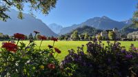 Interlaken: Höhematte