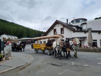 Pontresina (Pferdekutschfahrt ins Val Roseg)