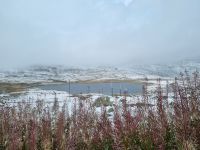 Fahrt zum Bernina-Pass...