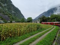 Fahrt mit dem Bernina-Express (Kreisviadukt von Brusio)