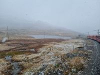 Fahrt mit dem Bernina-Express...