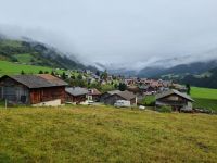 Fahrt mit dem Glacier-Express... (von Disentis zum Oberalppass - Sedrun)