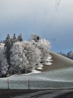 010 Silvester Berner Oberland - Ausflug ins Emmental