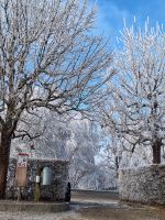 029 Silvester Berner Oberland - Ausflug ins Emmental - Besuch der Emmentaler Schaukäserei