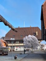 032 Silvester Berner Oberland - Ausflug ins Emmental - Besuch der Emmentaler Schaukäserei