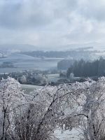 038 Silvester Berner Oberland - Ausflug ins Emmental - Besuch der Emmentaler Schaukäserei
